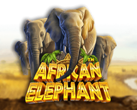Juega a African Elephant gratis en modo demo